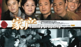电视剧家产