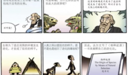 成人漫画书,探索成人世界的隐秘角落