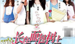 真爱电视剧全集36,情感漩涡中的抉择与救赎