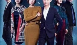 鸡毛飞上天类似电视剧,逆袭之路，从鸡毛到辉煌