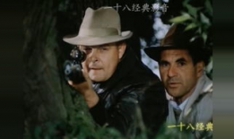 电视剧谍战片,谍影重重，生死较量