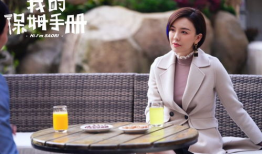 保姆的电视剧,温情与挑战并存的家庭故事