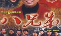 八兄弟电视剧,血脉相连，共筑家国梦