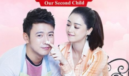 二胎电视剧演员表,明星阵容闪耀，演绎温馨家庭故事