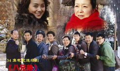 八兄弟电视剧,血脉相连，共筑家国梦