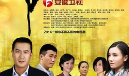 李国月是什么电视剧