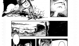 海贼王风之漫画,海贼王中的神秘力量与冒险之旅