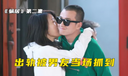 出轨电视剧有哪些,盘点那些揭示人性挣扎的电视剧