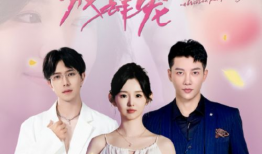 电视剧前夫,爱恨纠葛再续前缘