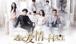 都市爱情电视剧大全集,浪漫邂逅，情感纠葛