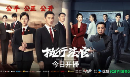 执行法官电视剧,正义的守护者