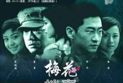 电视剧梅花档案,揭秘民国谍影风云