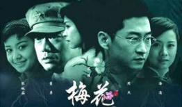 电视剧梅花档案,揭秘民国谍影风云