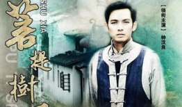 菩提树下 电视剧剧情,探寻千年佛法的传奇之旅