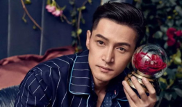 电视剧胡歌,从青涩少年到演技巅峰的蜕变之路