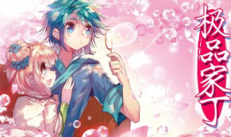 极品家丁漫画,极品家丁漫画故事梗概