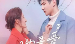 霸道总裁爱上我电视剧,一场跨越身份的浪漫传奇