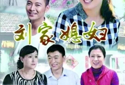 农村片电视剧大全,农村片电视剧大全精选回顾