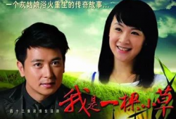 我是一棵小草电视剧,小草的奋斗与成长