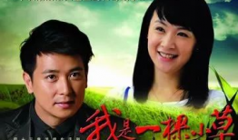 我是一棵小草电视剧,小草的奋斗与成长