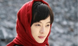孙俪演的电视剧,甄嬛传孙俪演绎的宫廷传奇